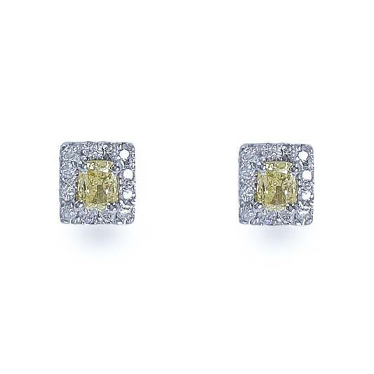 Yellow Diamond With Halo Studs - أقراط - Luxury Diamond Jewelry shop Dubai - SABA DIAMONDS